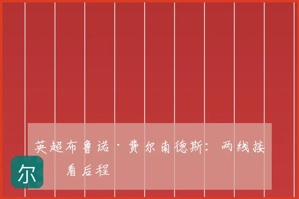 英超布鲁诺·费尔南德斯:两线接球看后程